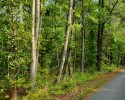 Large Wooded Building Site! 40 Acres in Caroline County